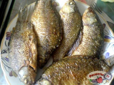 ������ � ������� � ����������