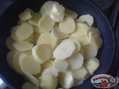 ������ � ������� � ����������