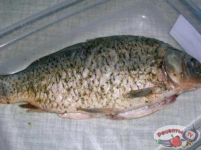 ���� � ������� � ����������� �����