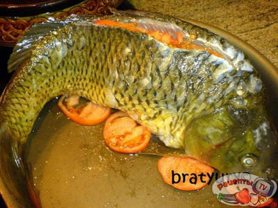 ���� ����������, ������� ������ ��� ��������� �����