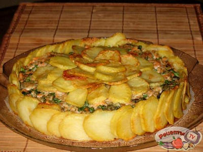 ������������ �������� � �����