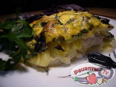 �����������-������ ���������