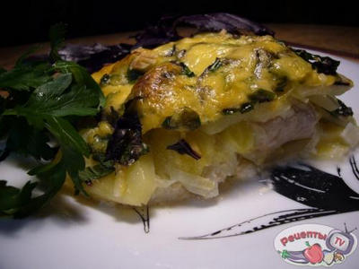 �����������-������ ���������.