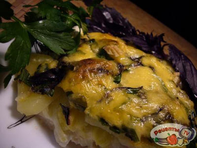 �����������-������ ���������.