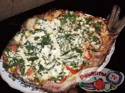 ������ ������������ � �������� ��������