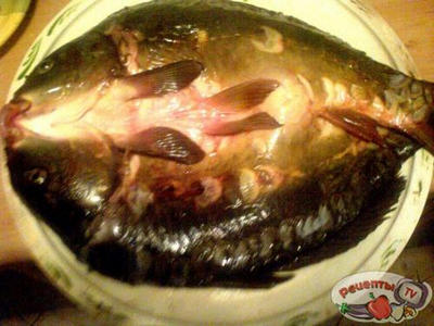 ������ ������������ � �������� ��������