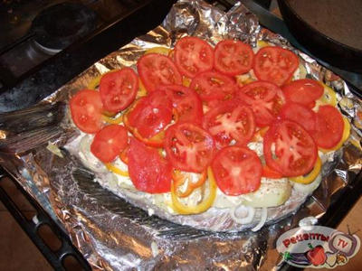 ������ ������������ � �������� ��������