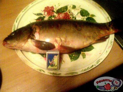 ������ ������������ � �������� ��������