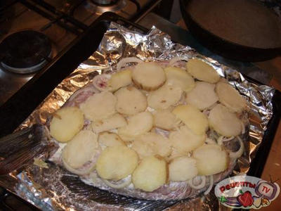 ������ ������������ � �������� ��������