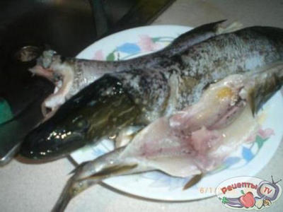 ������� �� ���� � �������