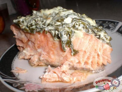 ������ ������� �� ��������-��������� ������