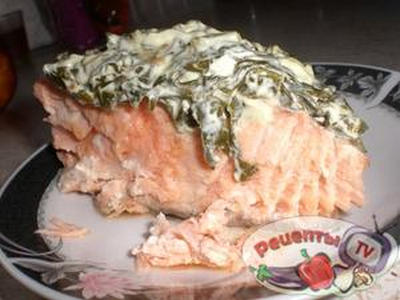 ������ ������� �� ��������-��������� ������