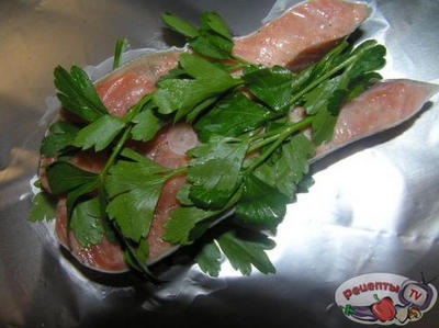 ������ � ������ �� �������