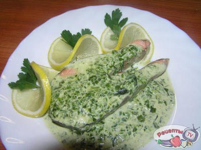 ������ � ������ �� �������