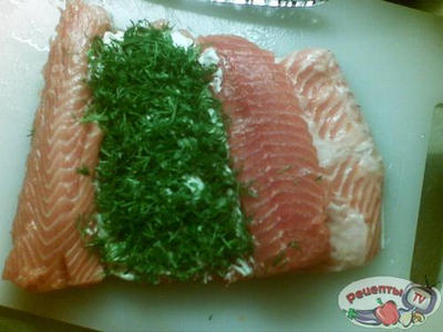 ������ ���������