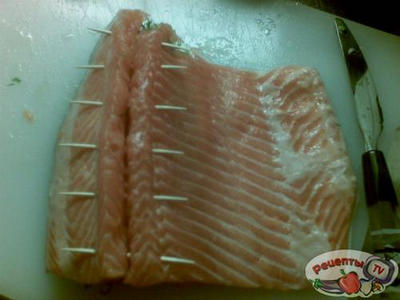 ������ ���������