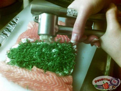 ������ ���������