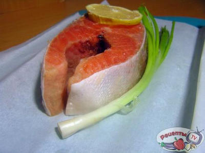 ������ � ����������