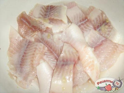 ����� � ������,������ ��������.