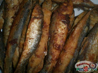 ����� ��������