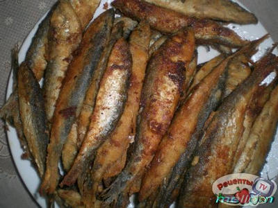 ����� ��������