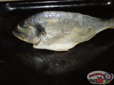 ����� ����������