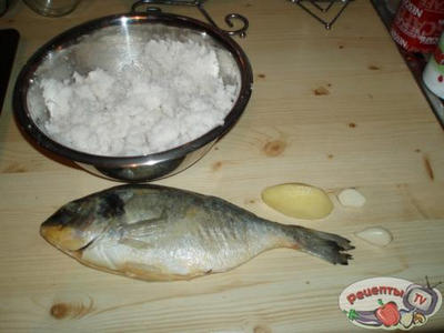 ����� ����������