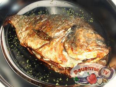 ����� ����������