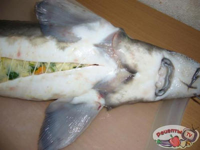 ���� �������������