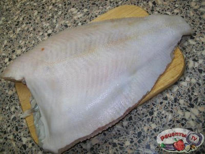 ������ ���������