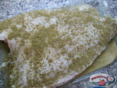 ������ ���������