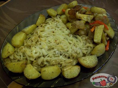 ������ ���������