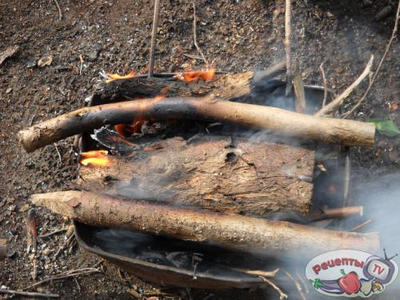 ��������� , �������������� �� ����� ������ �������� ����� .