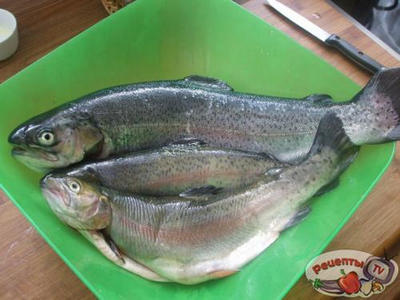 ����� � �������