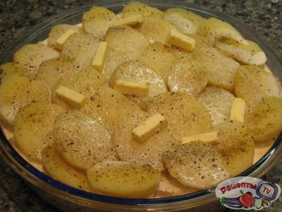 ������������� ������ ���������