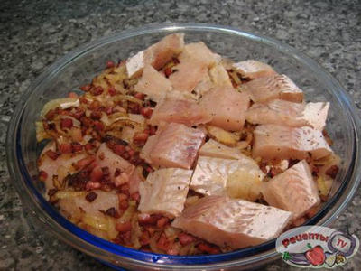 ������������� ������ ���������