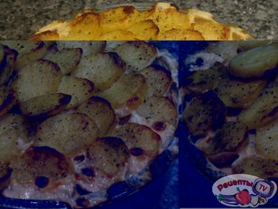 ������������� ������ ���������