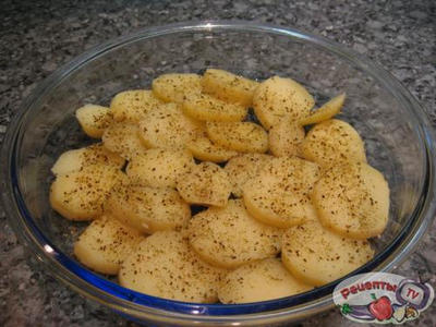 ������������� ������ ���������