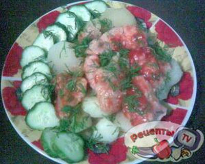 ������ ���������