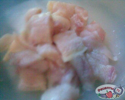 ������ ���������