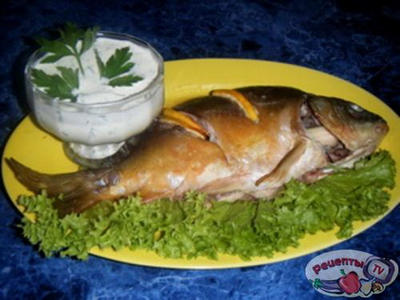 ������ ���� ����������