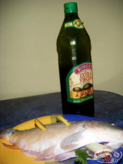 ������ ���� ����������