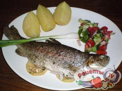 ������ ������ ���������� � ������