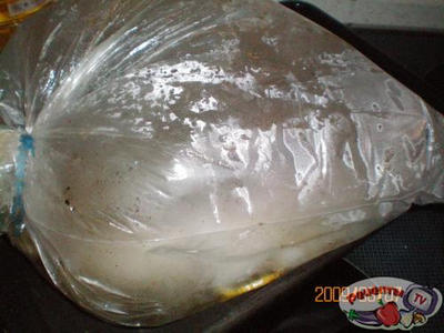 ������ ������ ���������� � ������