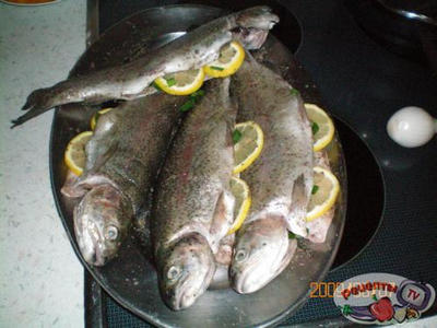 ������ ������ ���������� � ������