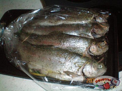 ������ ������ ���������� � ������