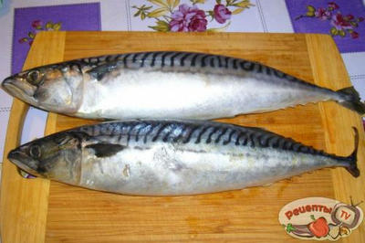 ����� �� ��������