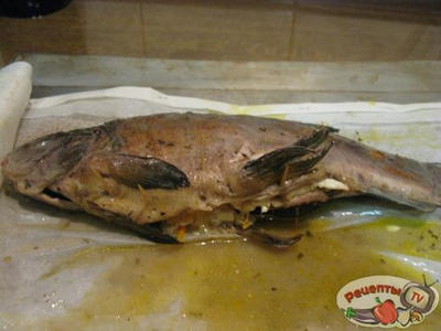 ���� ������������� ������� � ��������� ������