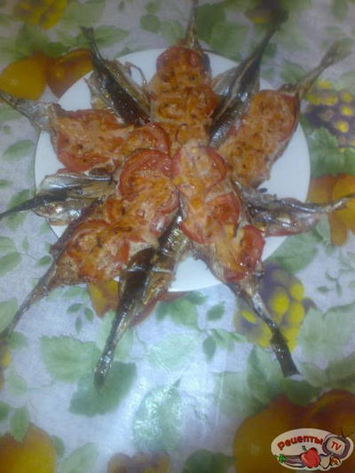 ���� ����� � ���������� �����