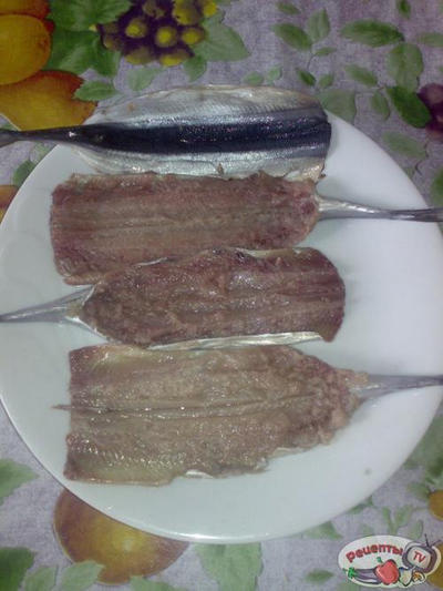 ���� ����� � ���������� �����